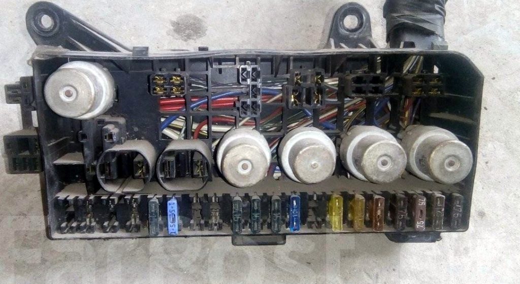 zdjęcie do 1993r