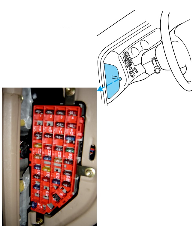 Zdjęcie